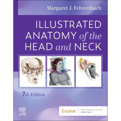 Illustrated Anatomy of the Head &amp; Neck